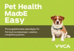 Pet Health Made Easy at VCA Resort